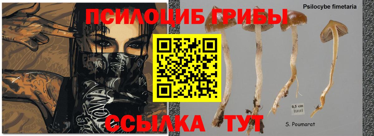 Галлюциногенные грибы Cubensis Туапсе