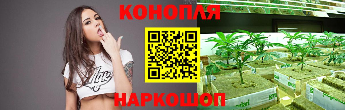 Бошки марихуана ГИДРОПОН  Бошки Шишки ГИДРОПОН  Вход с VPN  Туапсе  Марихуана MAZAR  Бошки Шишки Bruce Banner 